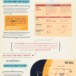 4 Hour Body Diet Explained, The Slow Carb Diet Infographic